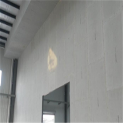台江宁波ALC板|EPS加气板隔墙与混凝土整浇联接的实验研讨